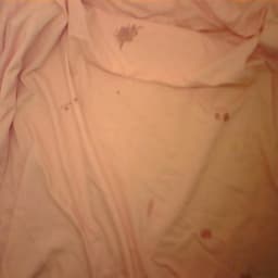 Defect Image