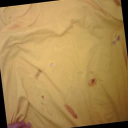 Defect Image