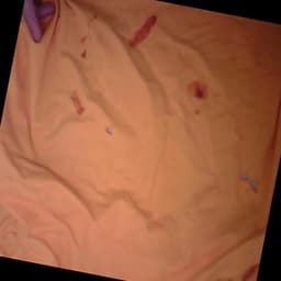 Defect Image