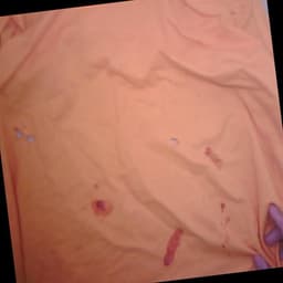 Defect Image