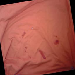 Defect Image