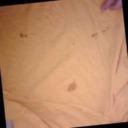 Defect Image
