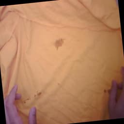 Defect Image