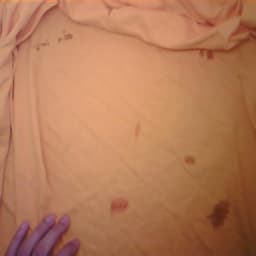 Defect Image